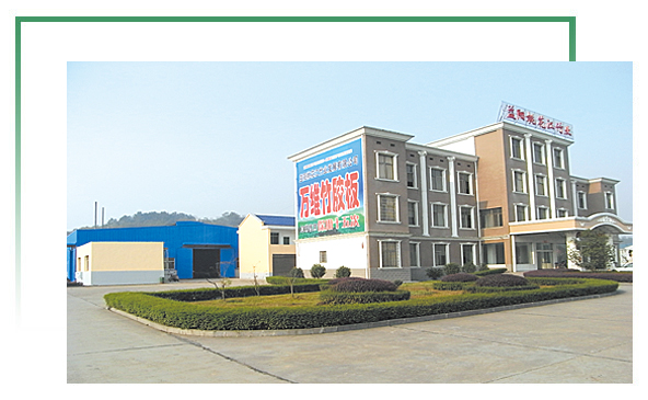 萬(wàn)維竹膠板實(shí)地看廠